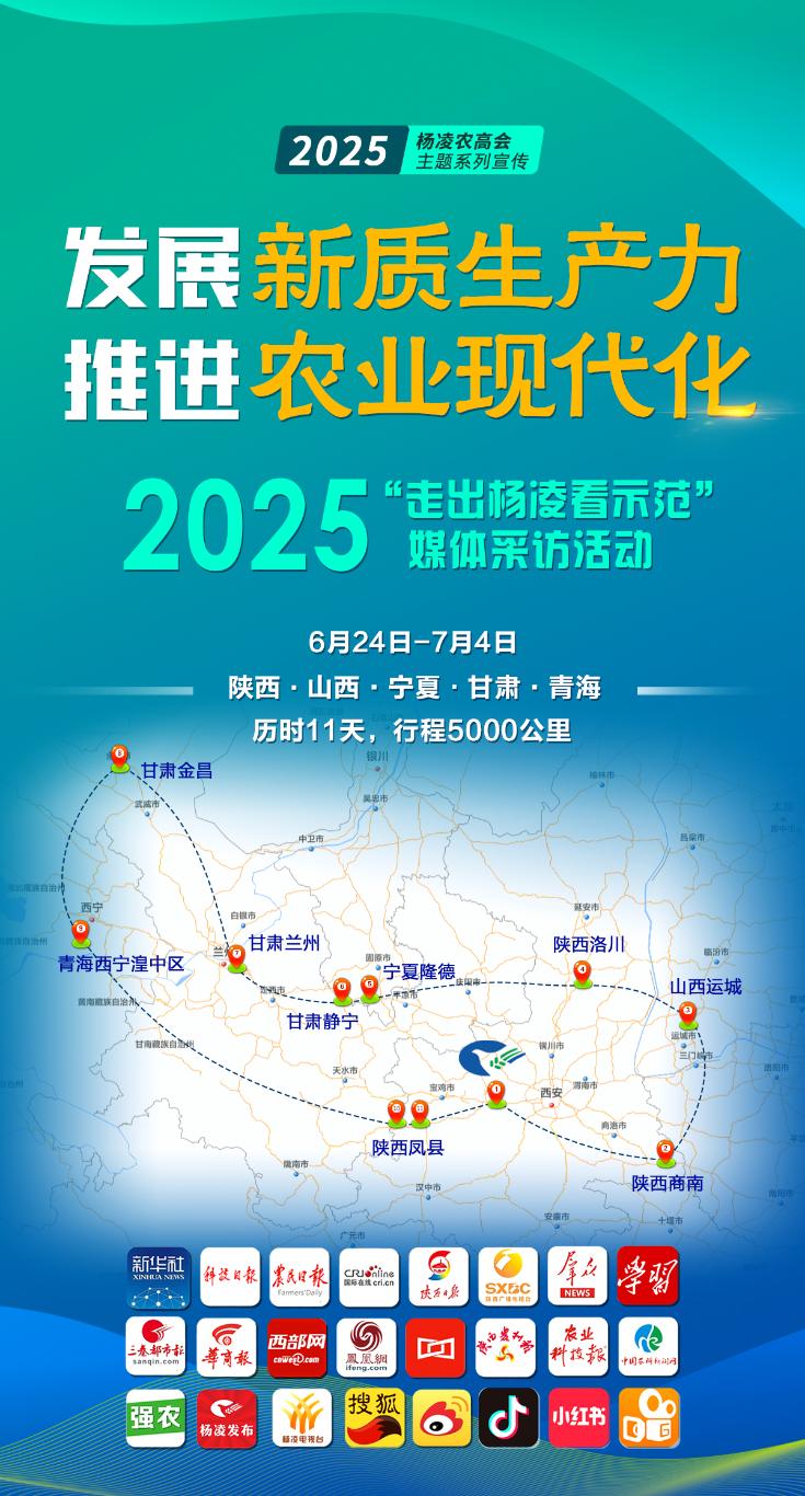 20250623180711372-79-af0d4.jpg_scale_.jpg