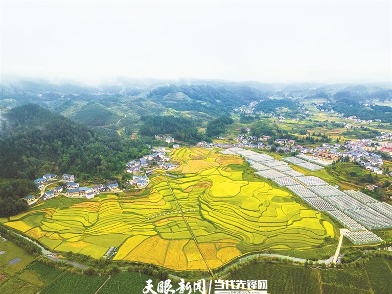 花茂村田園風(fēng)光美如畫。 羅星漢 攝.jpg