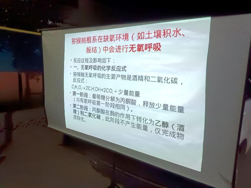 微信圖片_20250626110015