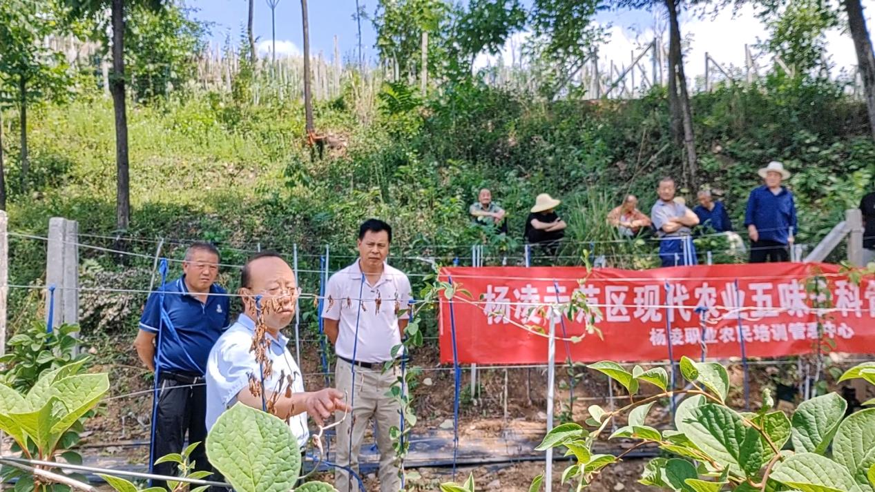 微信圖片_20250630185123
