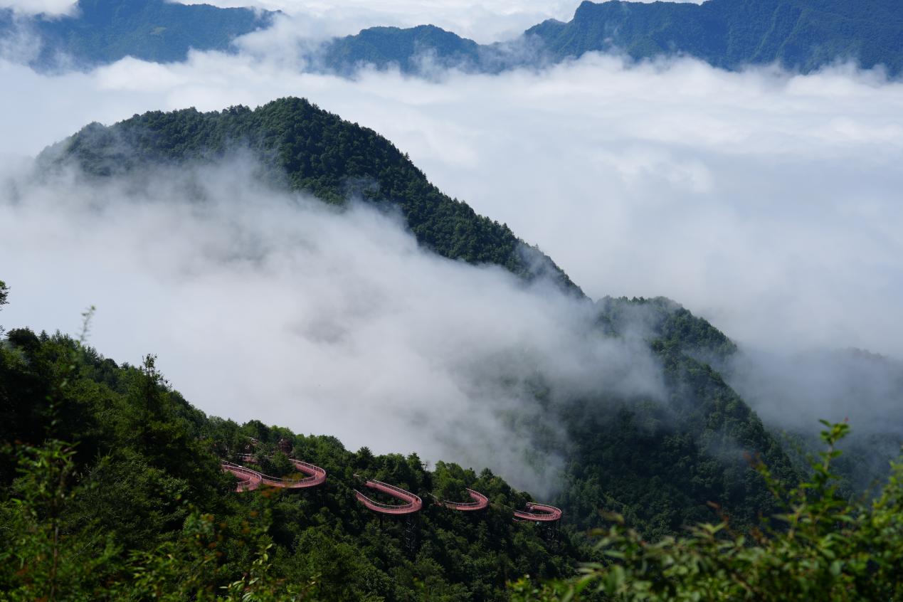 云道——李蓉