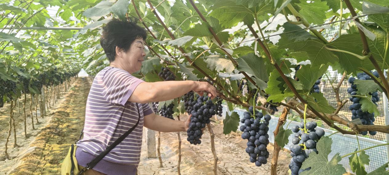 微信圖片_20250702083616