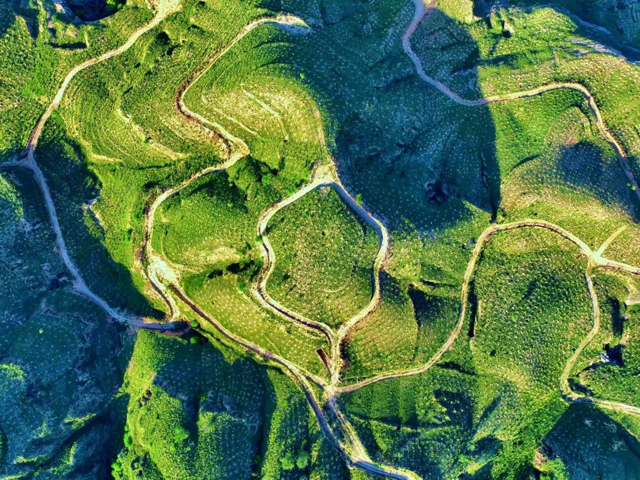 20250703173953282-63-eb17d.png