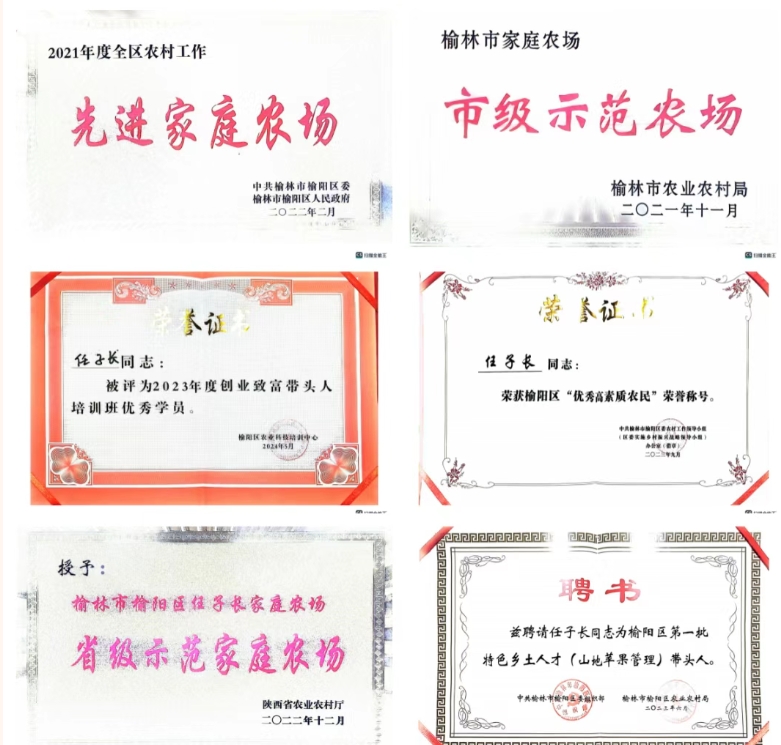 微信截图_20250709093801
