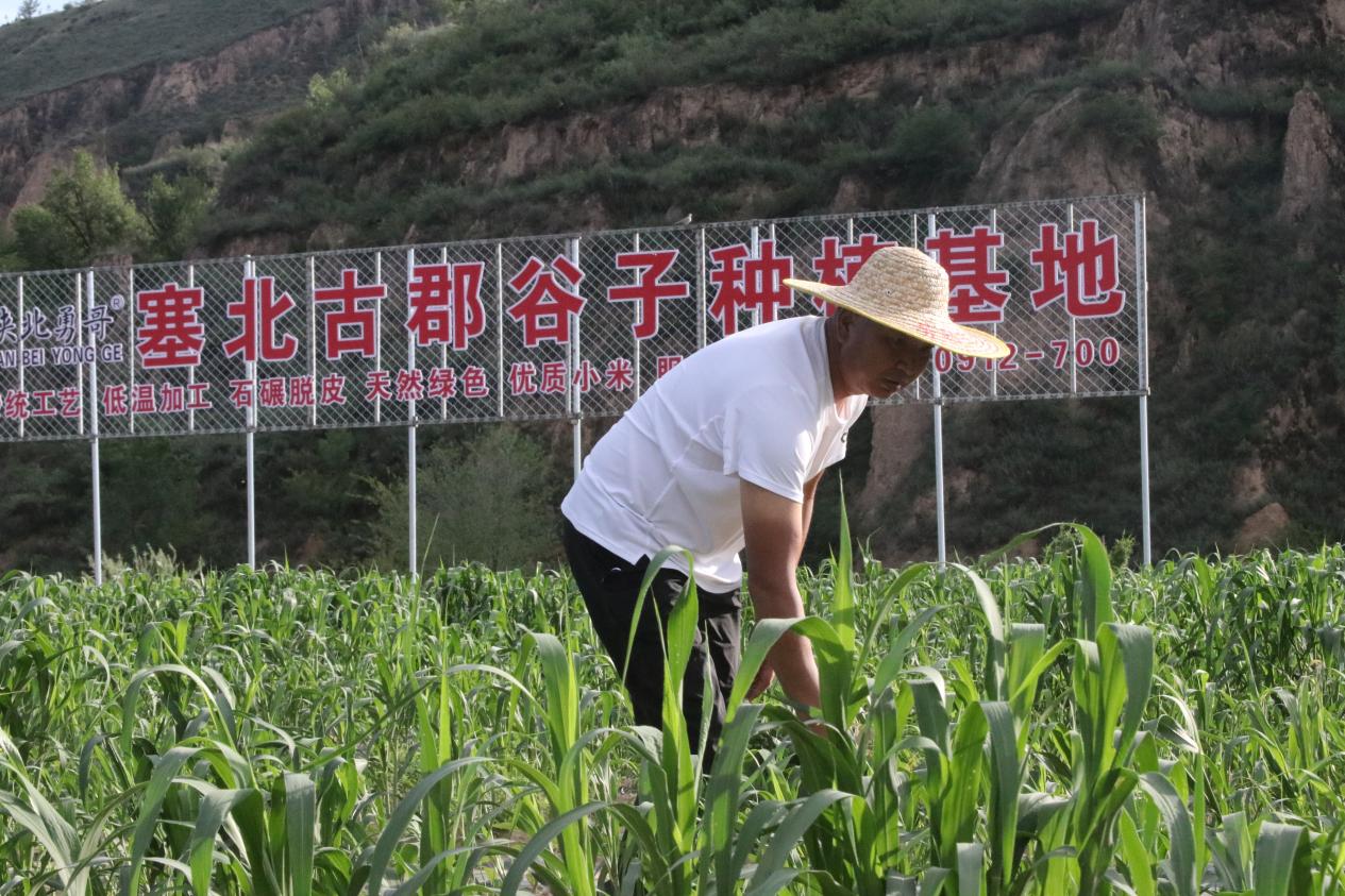 微信图片_20250710172642