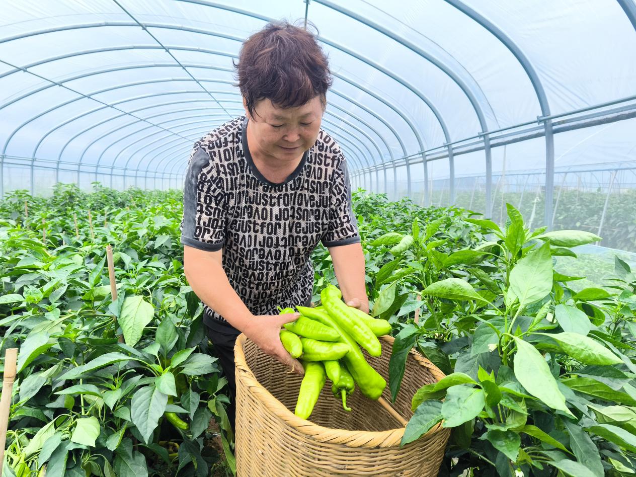 微信圖片_20250717093731