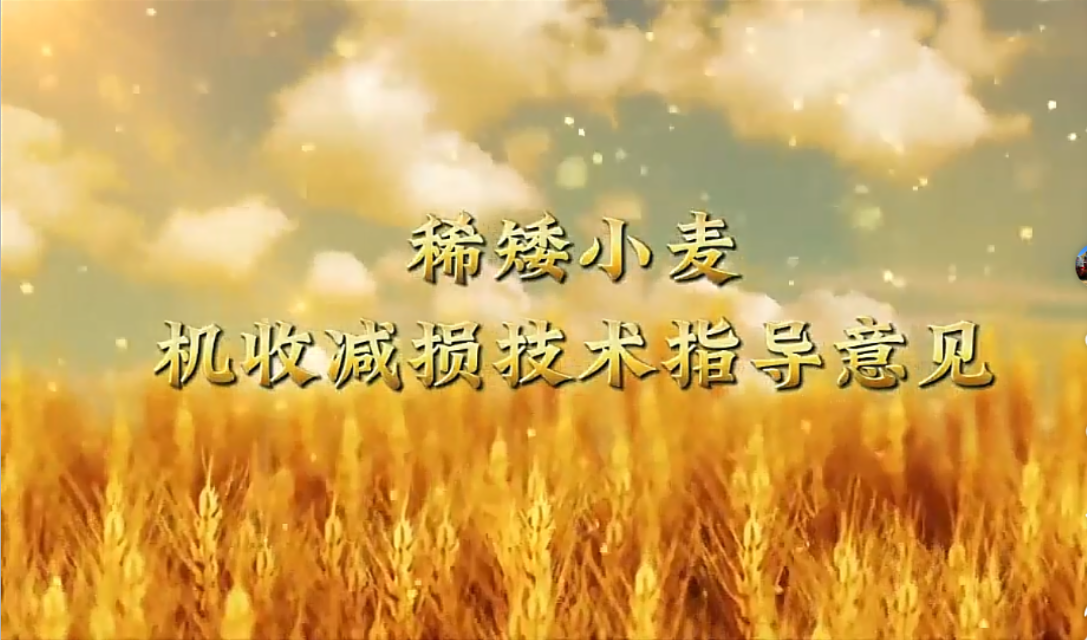 D:\微信资料\WeChat Files\wxid_h04rx4lkgf7v21\FileStorage\Temp\1751618227298.png