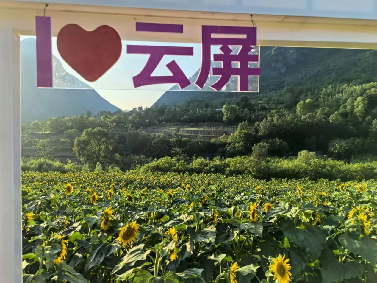 cac641d951ed0ef573e7a8d9c09c6634