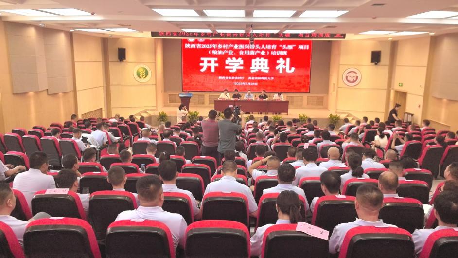 微信圖片_20250728142241