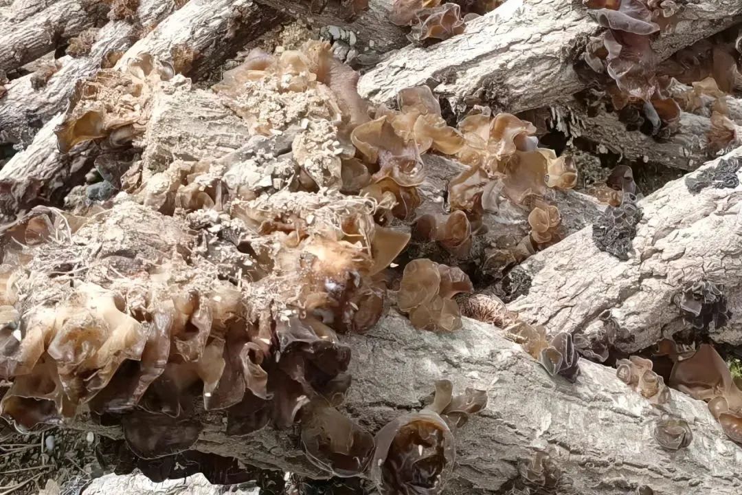 img3