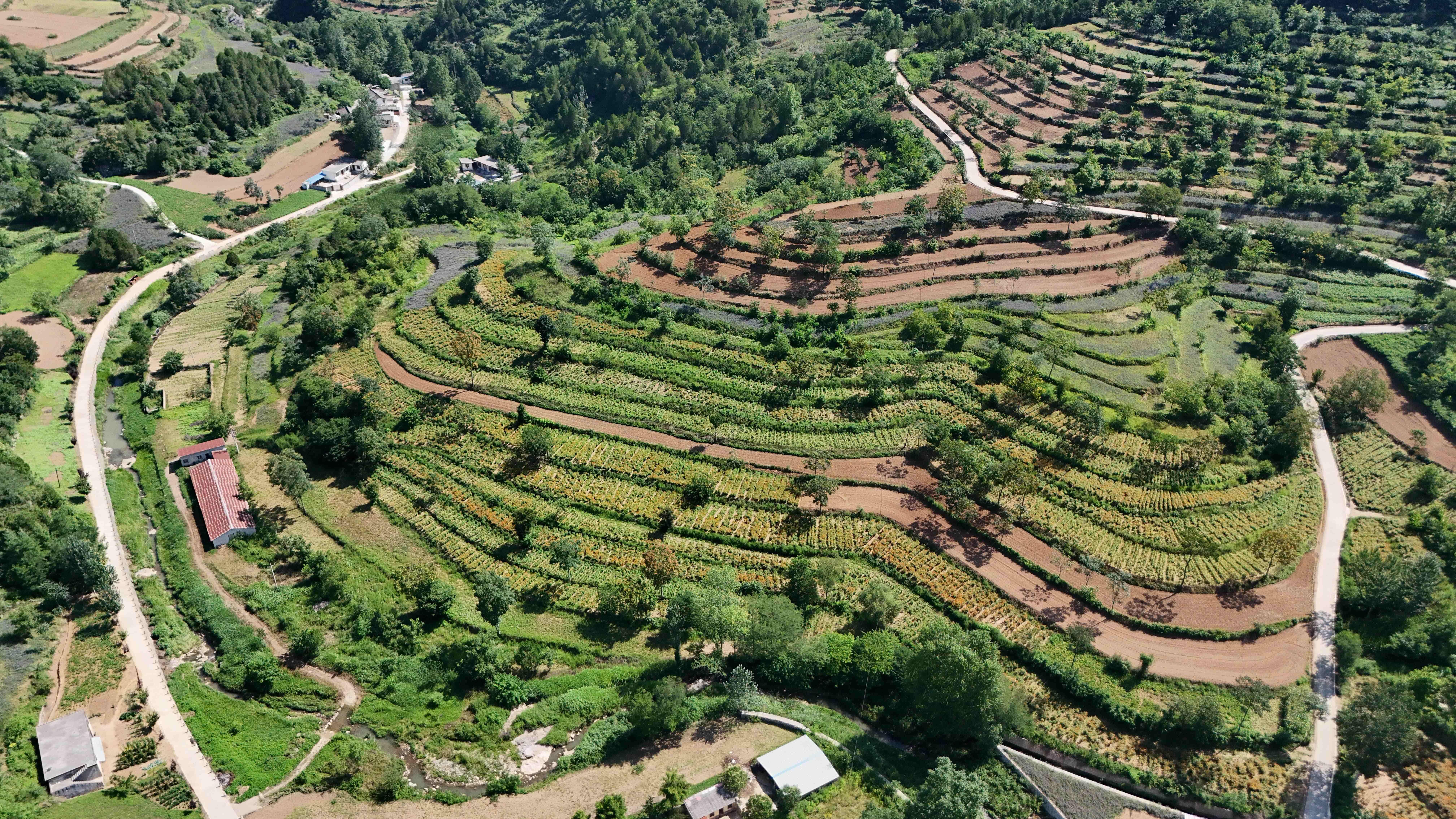 DJI_20250730103007_0025_D
