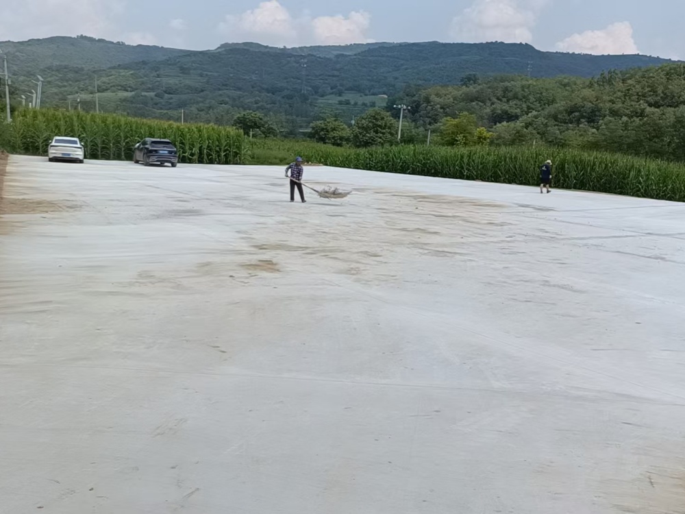 20250807155759414