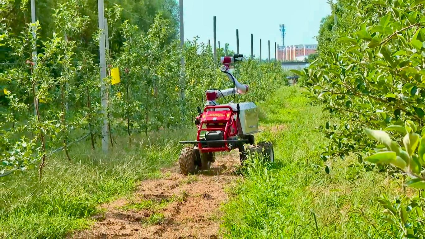 20250814084622756-30-04f46.jpg_scale_.jpg