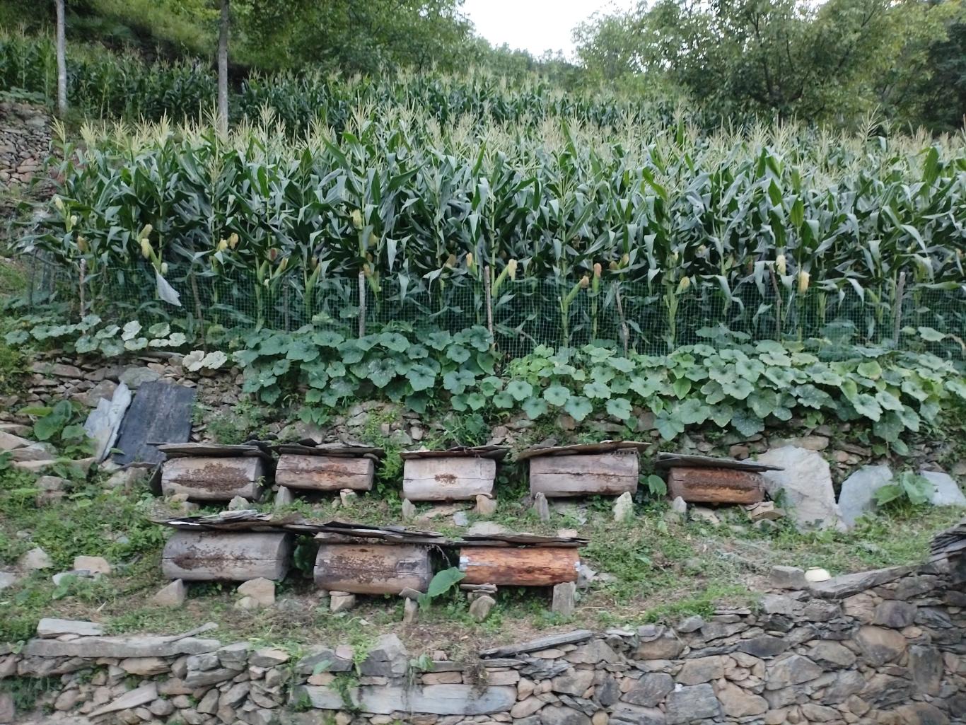 20250814115308730-3-c4e44.jpg_scale_.jpg