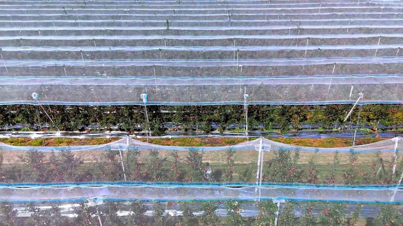 20250815163934125-10-553c7.jpg_scale_.jpg