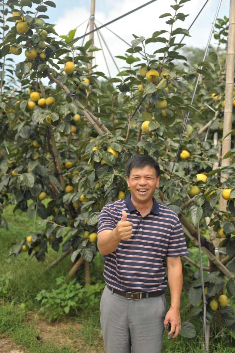 https://img2.danews.cc/upload/images/20250820/5d0244c6f39d5c97b18dccc3c1c55589.png