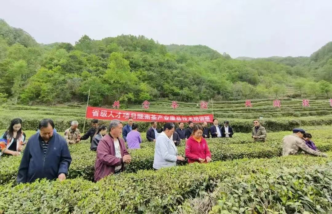 微信圖片_20250827144157_140_105