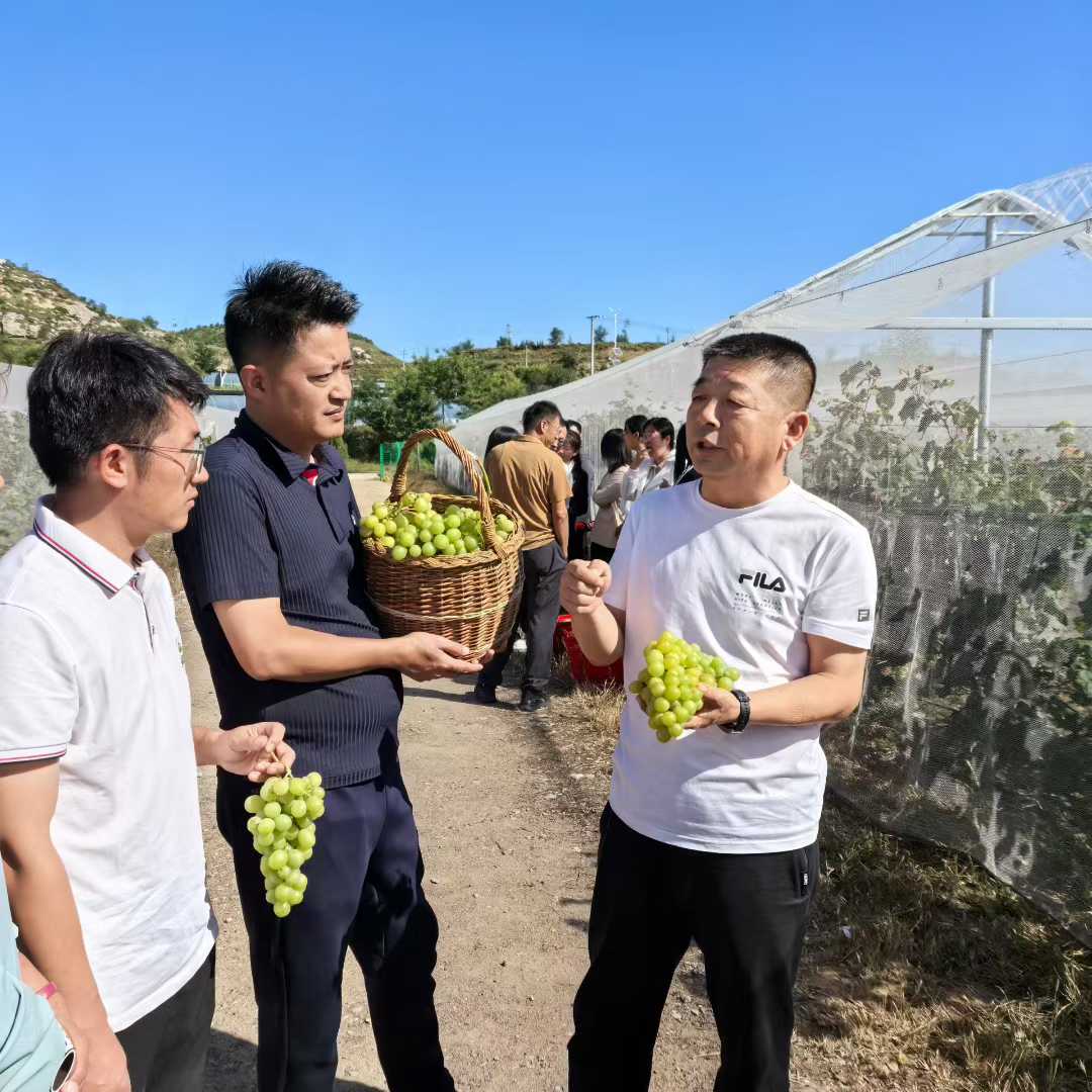 C:/Users/Administrator/Desktop/2025年照片/2025年9月份照片/愛(ài)心助農(nóng)/微信圖片_2025-09-17_144841_187.jpg微信圖片_2025-09-17_144841_187