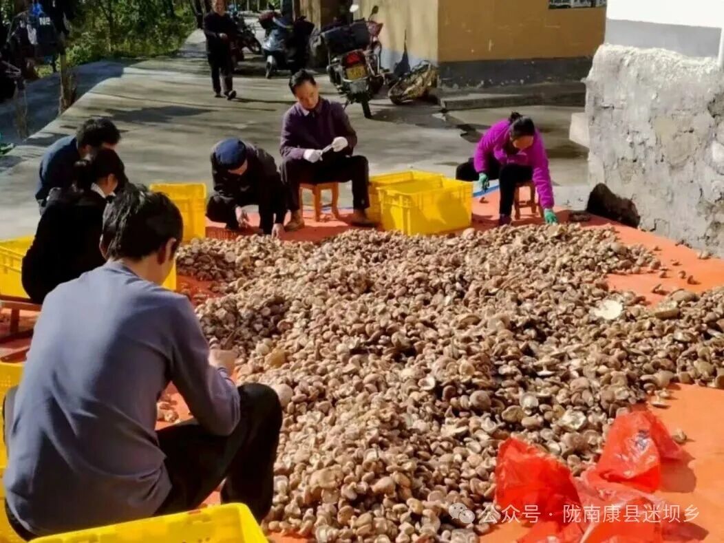 微信图片_2025-09-15_105503_998