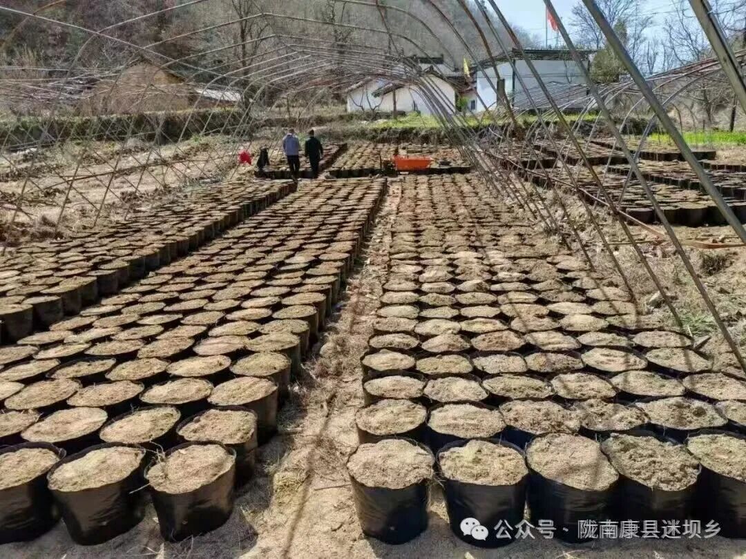 微信图片_2025-09-15_105456_196