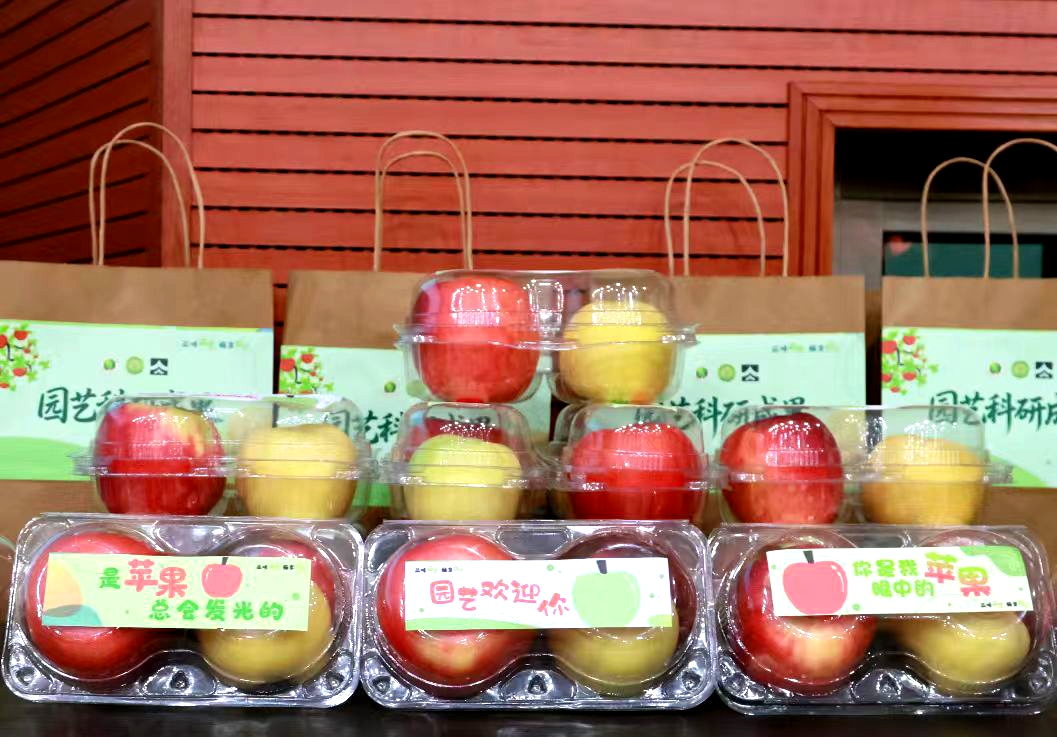 20250919111542375-30-ae526.jpg 20250919111542375-30-ae526.jpg