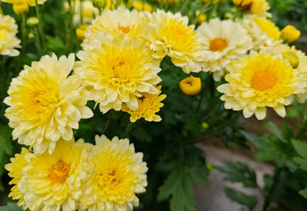 b5e24fb9ec48b6399f4e08a9c6f55c94