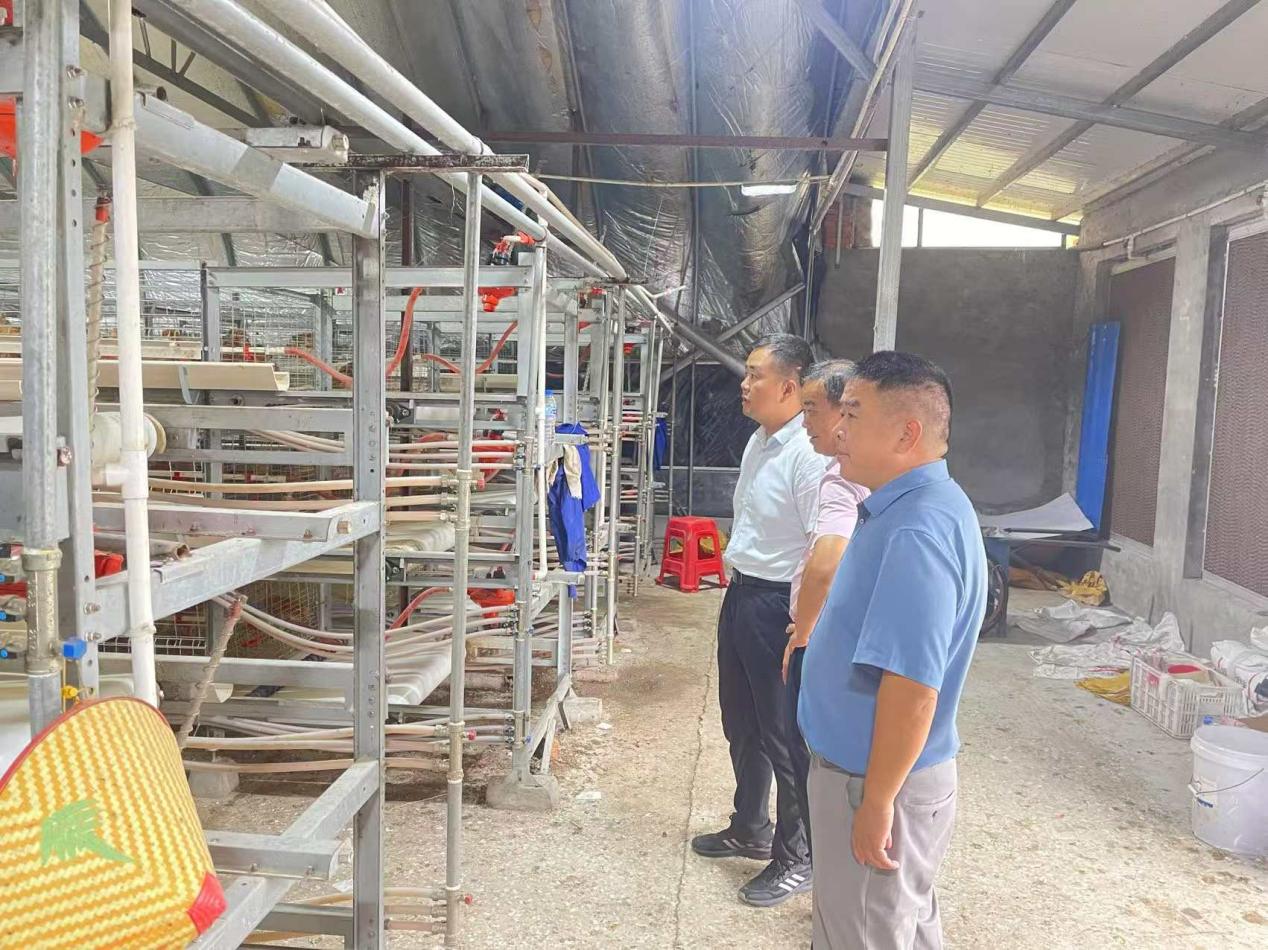 3eec683c234588bb27d4e572ca3596c