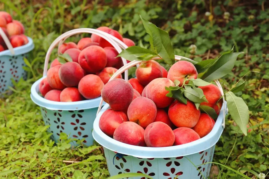 6fe562b21e309ccb90b295a6ac1f19d5