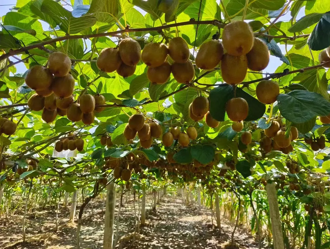 20250920120507315-71-96a45.png 20250920120507315-71-96a45.png