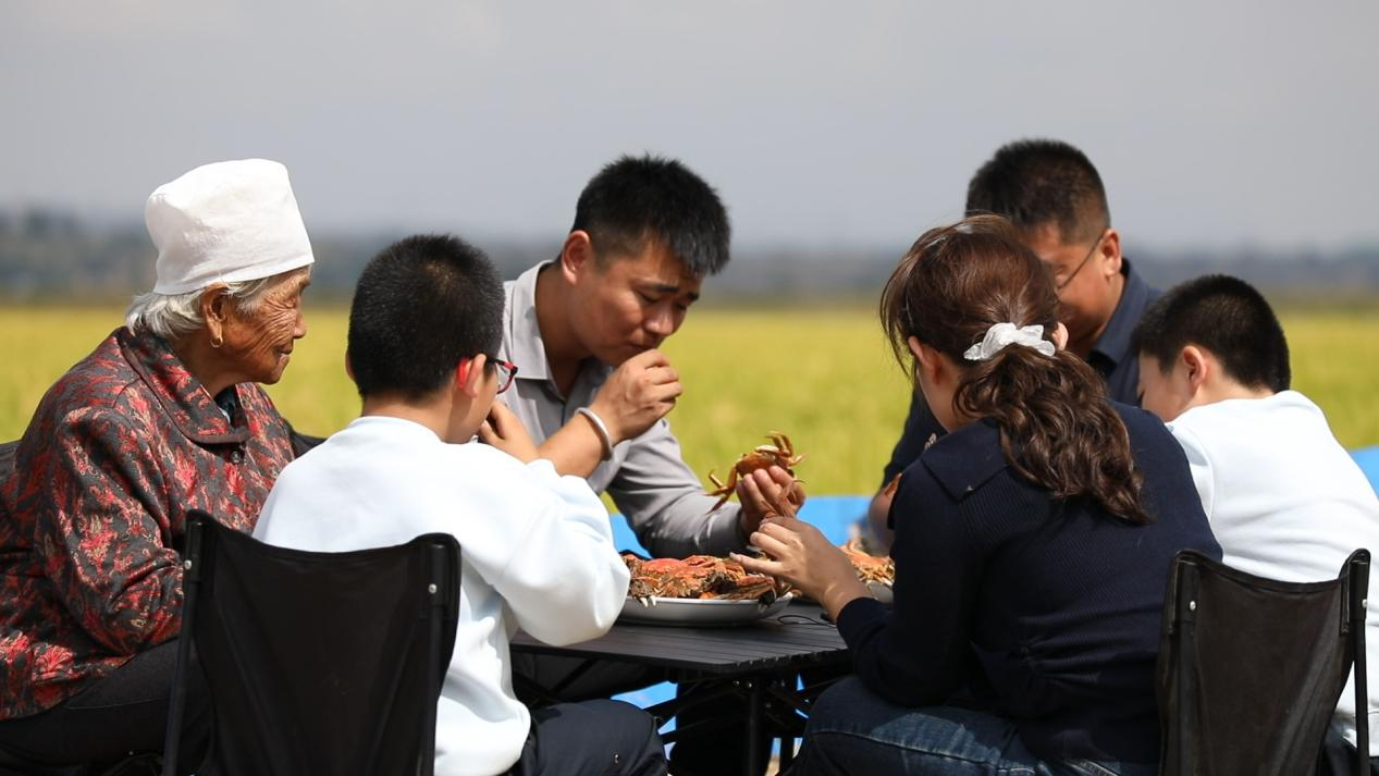 黄土高原上的“双丰收”密码：科技赋能农业转型的横山实践_fororder_图片4