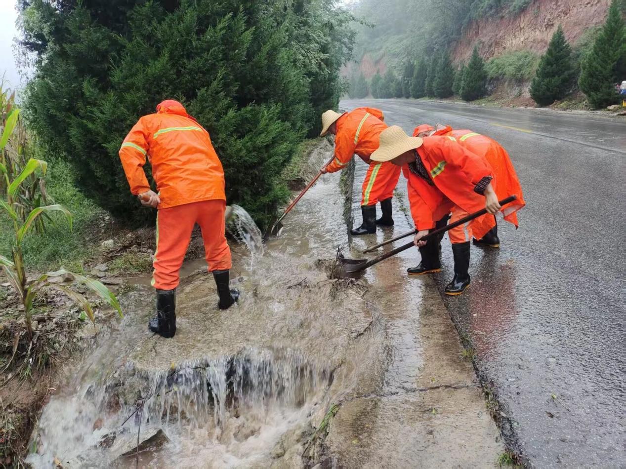 ba72e0190a02186eeaf82002292b8247