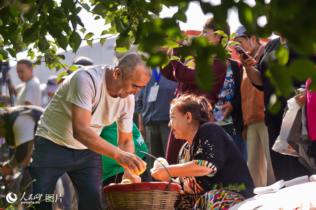 9月21日，“好品中国·香约梨城”农民丰日收节在新疆库尔勒市阿瓦提乡举行。图为果农采收库尔勒香梨画面 。人民网 李欣洋摄