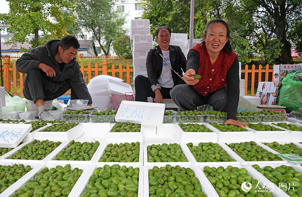 9月17日，集安市凉水朝鲜族乡的李秀芳和家人早早就来到了集安的早市里摆摊。今年，她家里种植的软枣猕猴桃迎来大丰收，一颗颗果实软糯香甜，十分诱人。每当遇到好奇的顾客，李秀芳总是十分热情：“来！给你尝一个，自己家种的，老甜了！”人民网记者 李洋摄