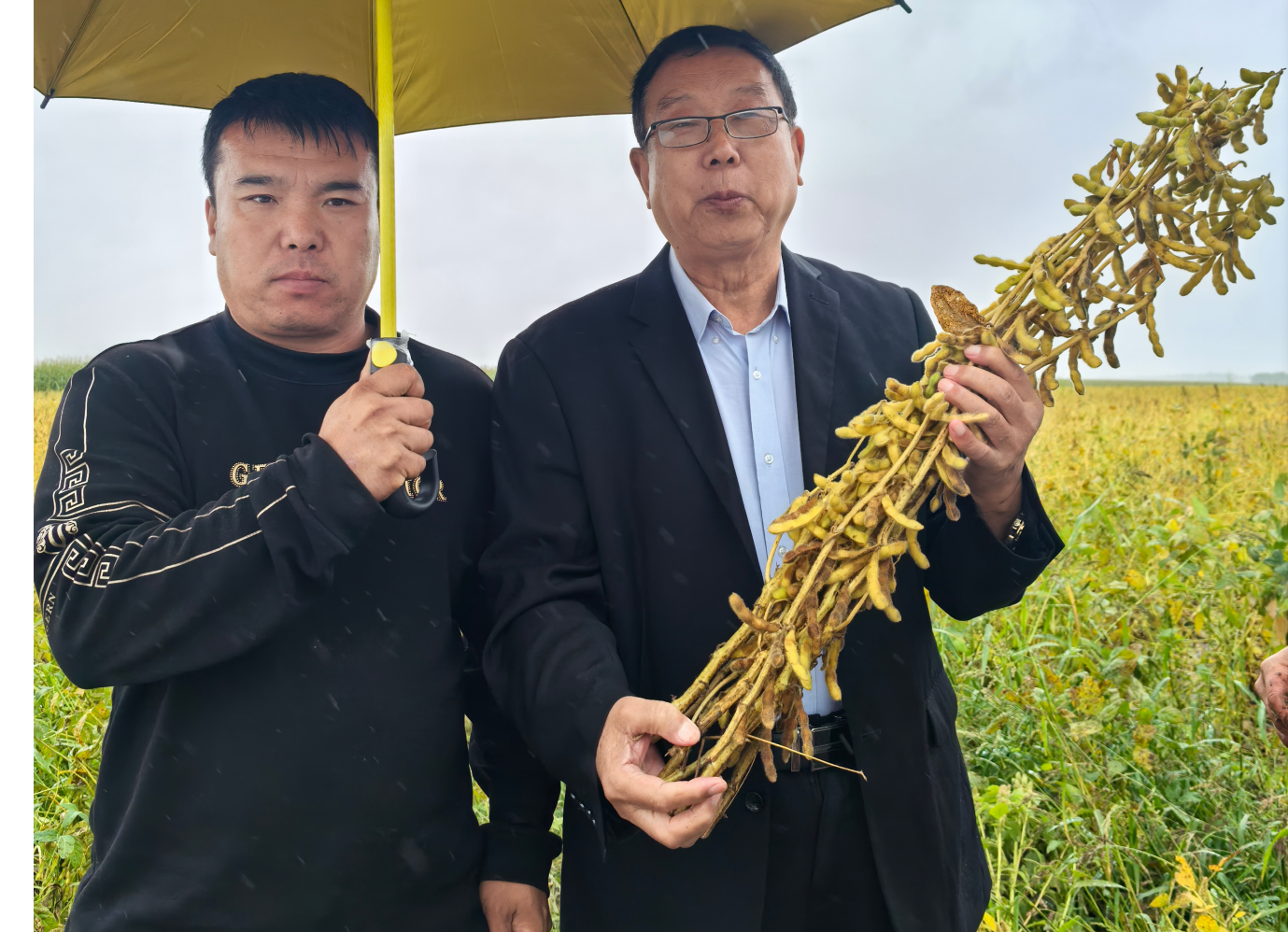 微信圖片_20250923195942_30_88