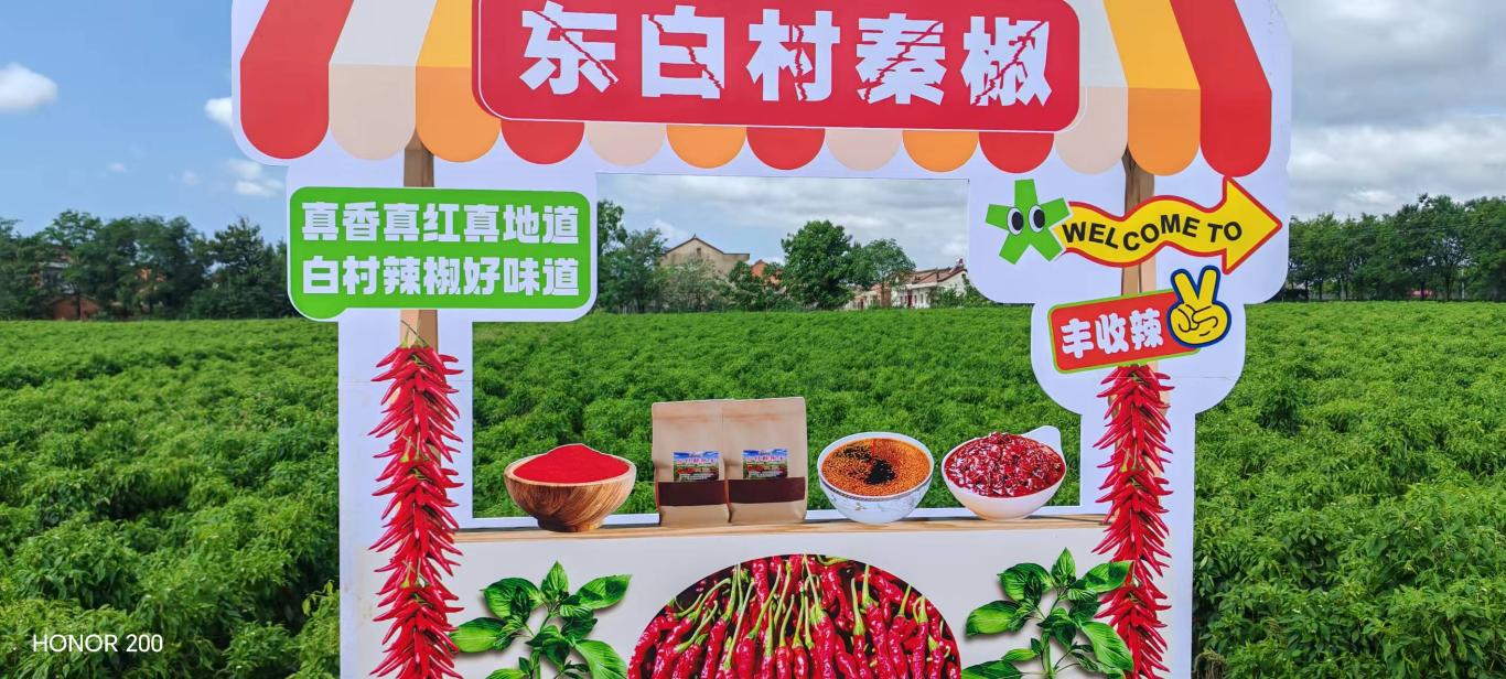 20250924121607199-12-e1c42.jpg_scale_.jpg 20250924121607199-12-e1c42.jpg_scale_.jpg