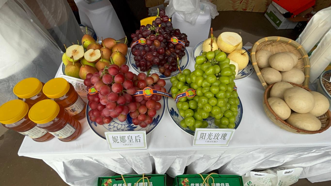 20250924161008294-71-16df1.jpg_scale_.jpg 20250924161008294-71-16df1.jpg_scale_.jpg