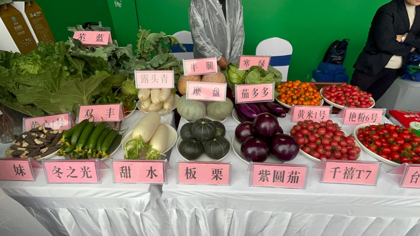 20250924161444241-20-20fa8.jpg_scale_.jpg 20250924161444241-20-20fa8.jpg_scale_.jpg