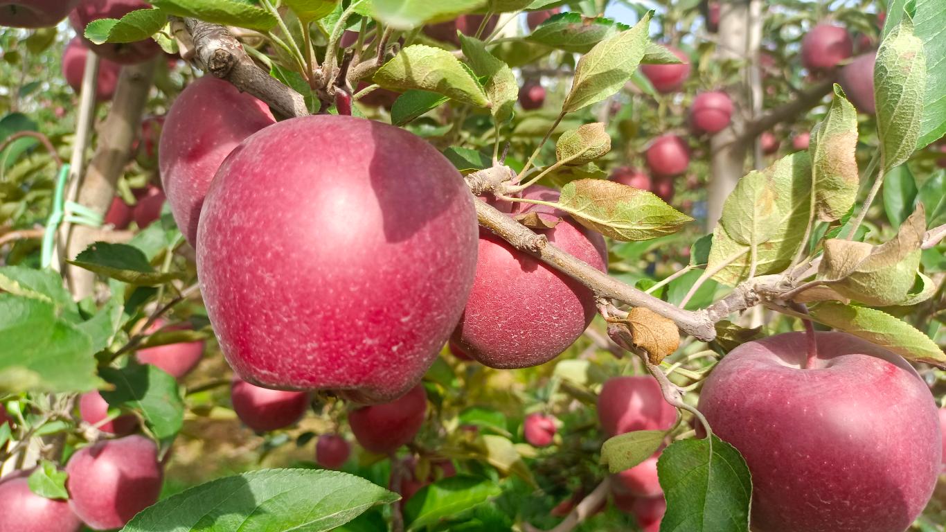 20250924174124746-70-22394.jpg_scale_.jpg 20250924174124746-70-22394.jpg_scale_.jpg