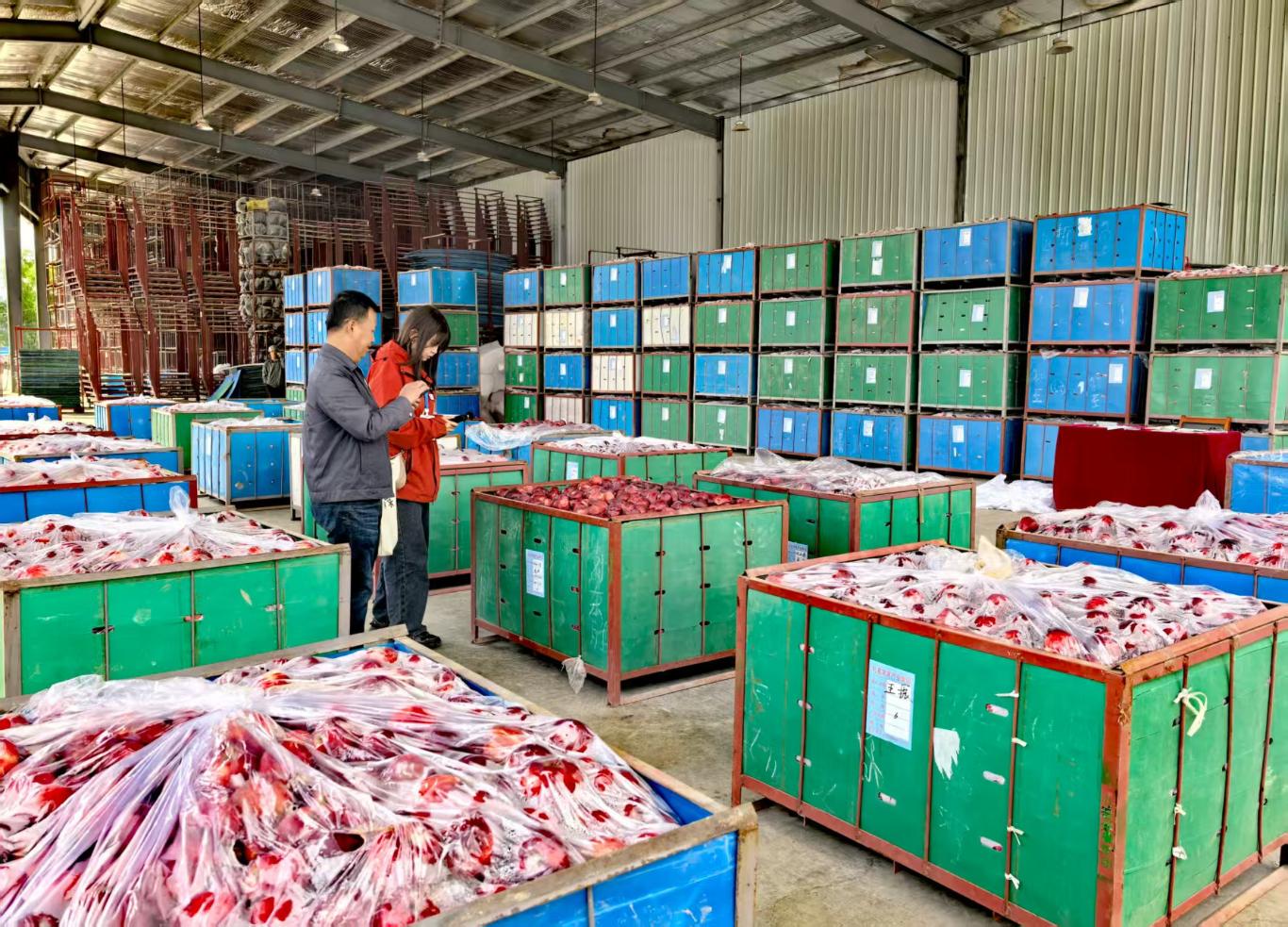 20250924180931796-77-67a3f.jpg_scale_.jpg 20250924180931796-77-67a3f.jpg_scale_.jpg