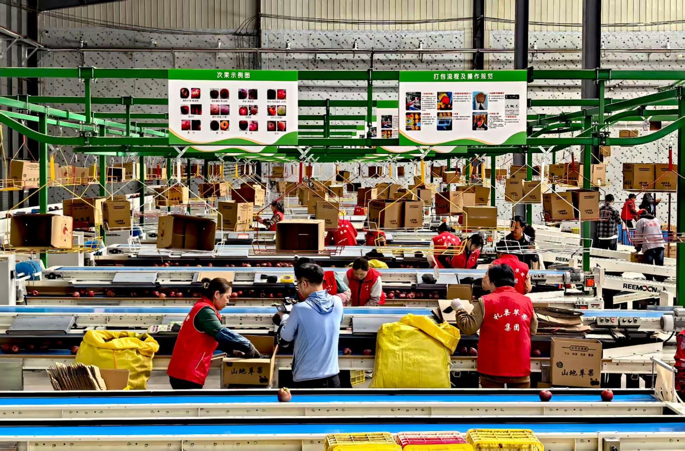 20250924180932055-14-4eaea.jpg_scale_.jpg 20250924180932055-14-4eaea.jpg_scale_.jpg