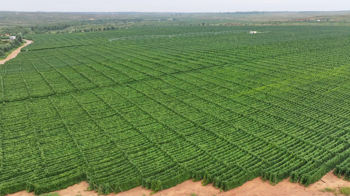 20250925105706363-98-d1542.jpg_scale_.jpg 20250925105706363-98-d1542.jpg_scale_.jpg