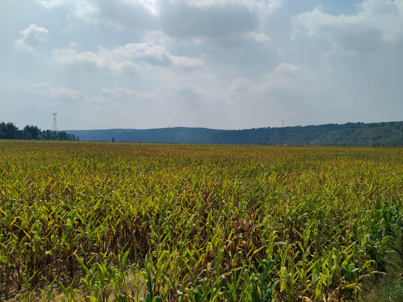 20250925110631252-60-b9b0f.jpg_scale_.jpg 20250925110631252-60-b9b0f.jpg_scale_.jpg