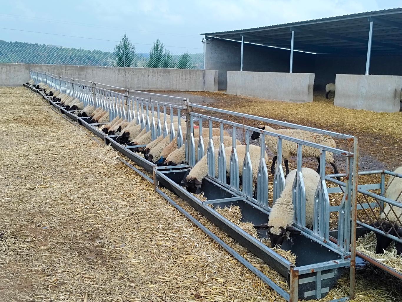 20250925110632261-9-79472.jpg_scale_.jpg 20250925110632261-9-79472.jpg_scale_.jpg