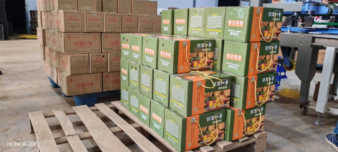 20250925163152934-32-93b54.jpg_scale_.jpg 20250925163152934-32-93b54.jpg_scale_.jpg