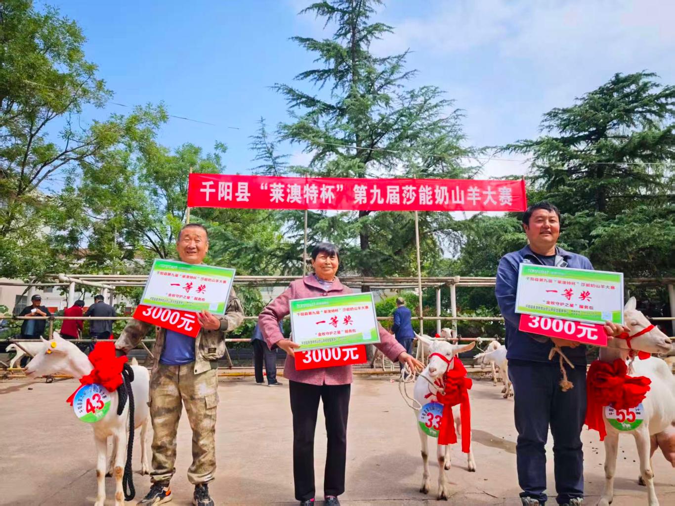 20250925164655934-31-4dfcc.jpg_scale_.jpg 20250925164655934-31-4dfcc.jpg_scale_.jpg