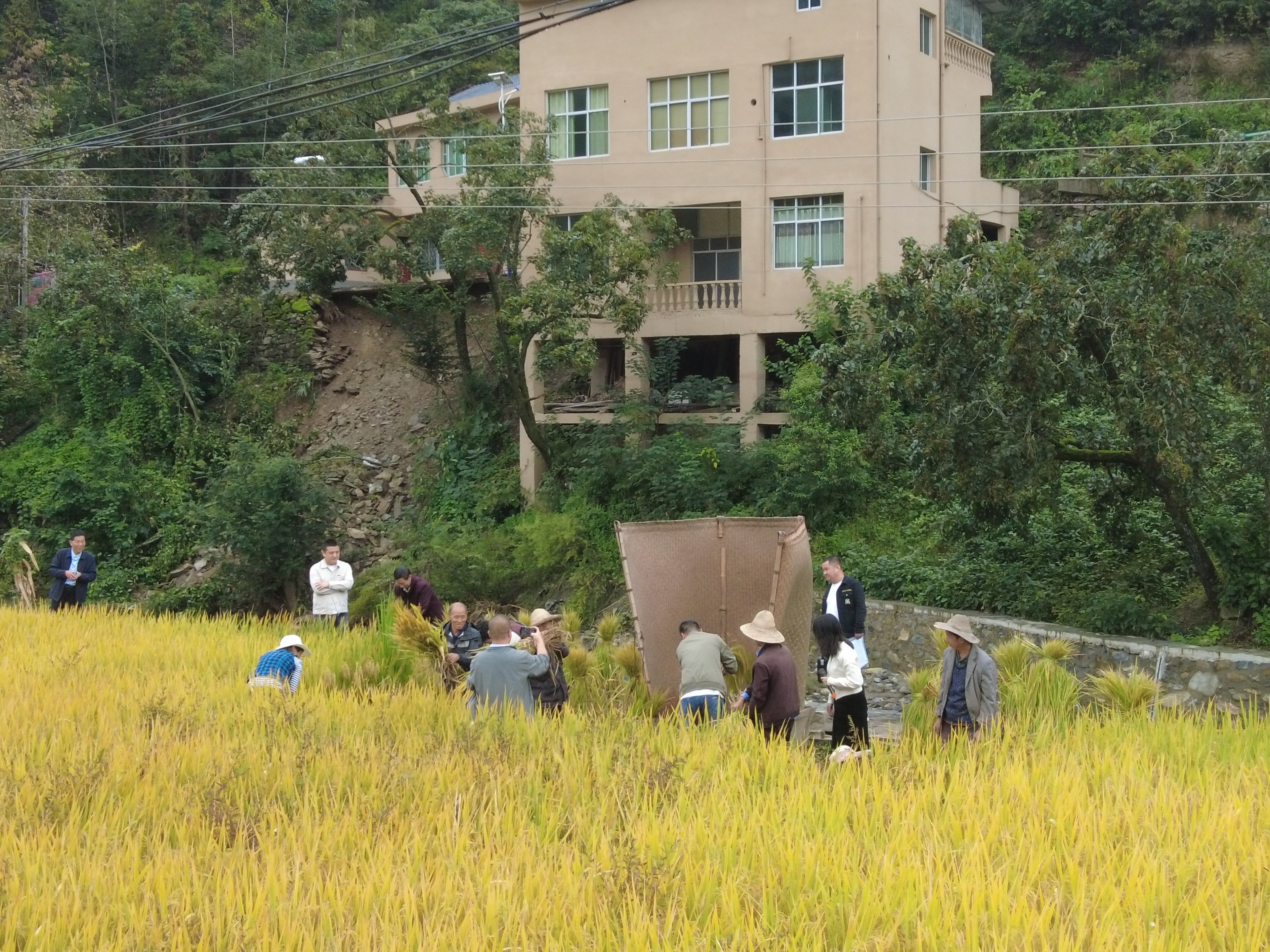 1758874720131015177.jpg 1758874720131015177.jpg