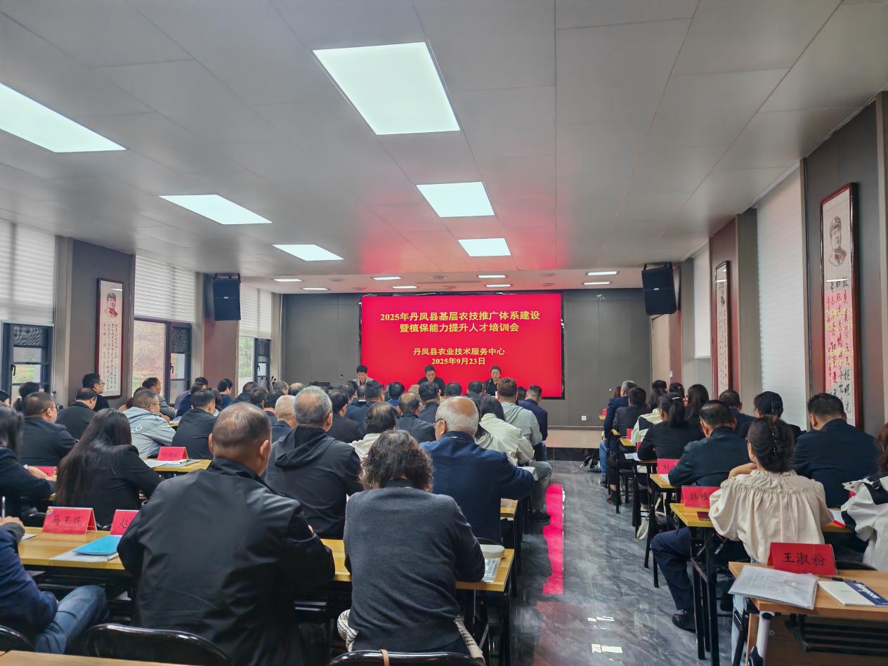 8d2888015a63020950d20b24e8bbbe5e