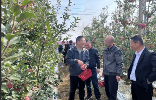 84b6d92d547835832c9129d9ea0be234