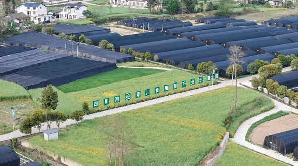 20250929120830668-29-c0e53.png 20250929120830668-29-c0e53.png