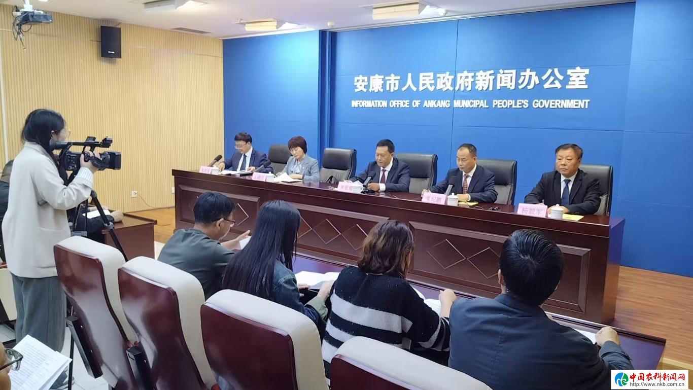 20250929164229687-78-98a08.jpg_scale_.jpg 20250929164229687-78-98a08.jpg_scale_.jpg